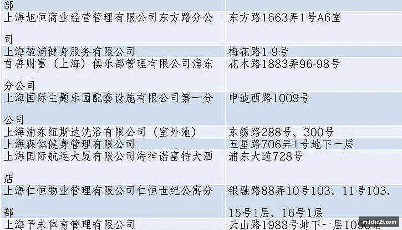 激发活力，释放无限可能！